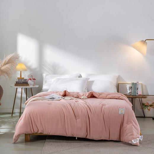 【远梦】大豆亲肤四季被 商品图1