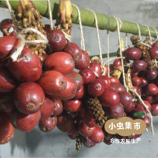 生态草果 120g/罐 | 合作农友生产，来自云南红河哈尼族彝族自治区，生产者：王佳俊 ＆【公平贸易农人定价】 商品图7