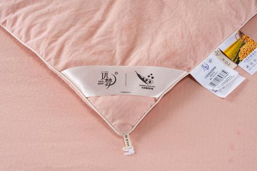 【远梦】大豆亲肤四季被 商品图4