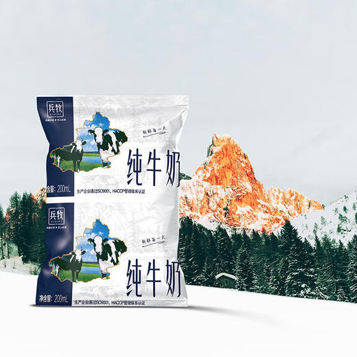 兵牧纯牛奶 利乐枕20袋 商品图2