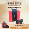 【珍贵仙草 养心安神】梦岭南黑灵芝360g礼盒装 云南珍稀原产 甜睡整晚 安抚心神 商品缩略图8
