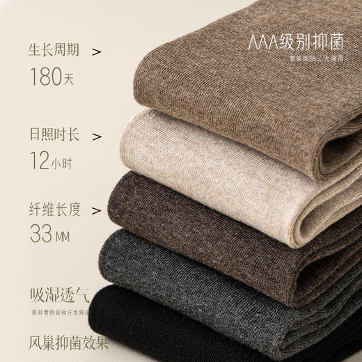 【免穿秋裤】秋冬保暖过膝袜 微压加长版长筒袜女秋冬款过膝袜防滑微压保暖长袜棉 商品图2