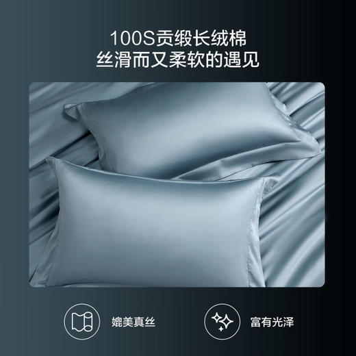 【分仓直发包邮】水星家纺臻·卡洛斯100支长绒棉贡缎抗菌四件套129126 商品图2