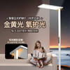华尔登全光谱阳光落地灯护眼大路灯 商品缩略图1