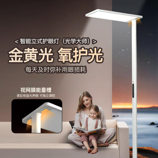 华尔登全光谱阳光落地灯护眼大路灯 商品图1