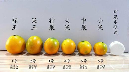 广西融安  脆蜜金柑 商品图6