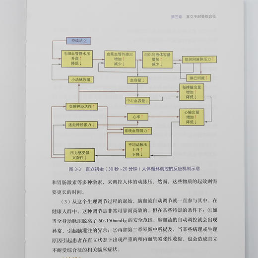 神经心脏病学临床实践 商品图4