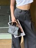 戈雅-狗牙斜挎手提西贡包渠道货，特定材料，狗牙包的精髓它都有！（XS） 商品缩略图3