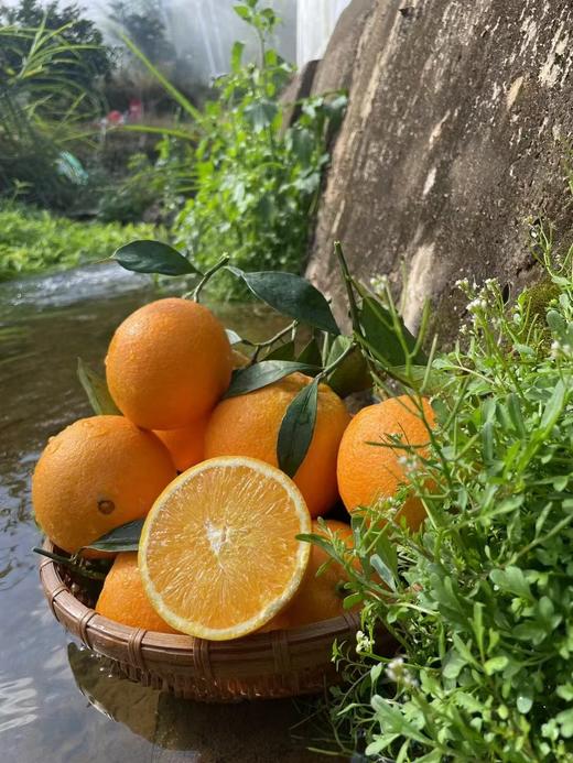 【产地直采】赣南脐橙，水分充足，橙香味浓郁，不加蜜，自然甜，口感好超级好，力推 商品图5