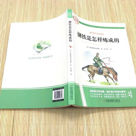 钢铁是怎样炼成的 商品图1