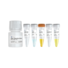 VaClick 488-EdU Cell Proliferation Test Kit 商品缩略图0