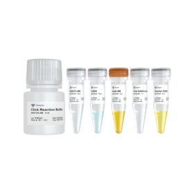 VaClick 488-EdU Cell Proliferation Test Kit