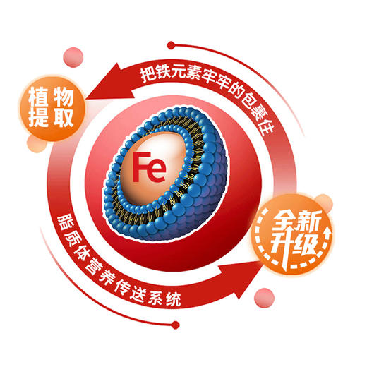 加拿大爱奇氏 辣木叶滴液 100ml 商品图3