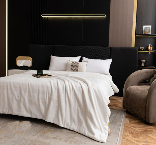 夏季雅致提花桑蚕丝被，轻盈透气，柔软舒适，让你美美哒入眠。 商品图2