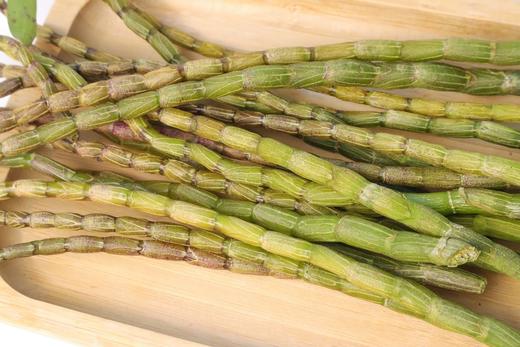 云南新鲜铁皮石斛鲜条 甄选5年以上的铁皮石斛  滋阴清热 煲汤泡水 500g 商品图9