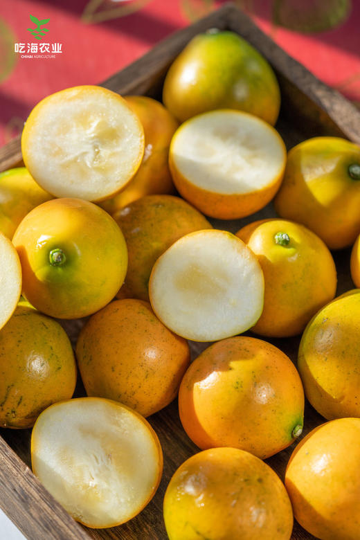 广西融安  脆蜜金柑 商品图3
