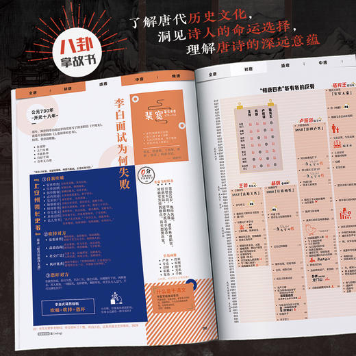 《大唐诗人信息图》大数据图解图解大唐诗人 商品图2