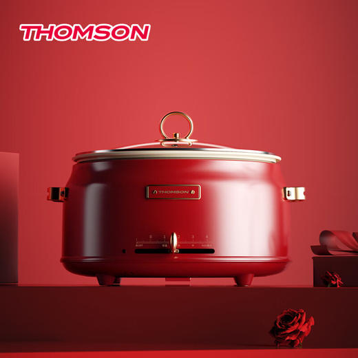 【分仓直发包邮】汤姆逊分体电火锅C-T0101 商品图4