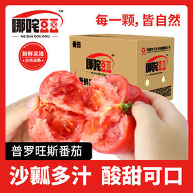 【哪咤豆豆】普罗旺斯番茄4.5斤装坏果包赔