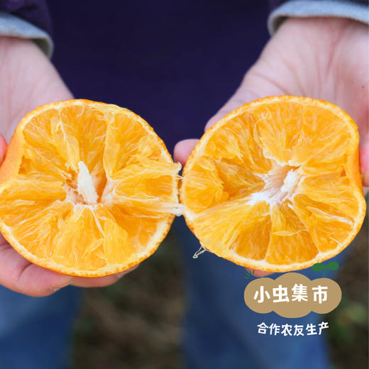 眉山生态爱媛果冻橙 5斤/8.5斤 | 合作农友生产，产自四川眉山，生产者：胡连均 *【公平贸易农人定价】 商品图8