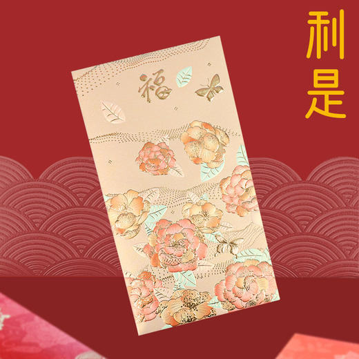 【29.9抢24个❗️新年硬卡福字红包】2025新年压岁钱包蛇年红包，立体质感设计不易调出，春节过年福字加厚硬卡福字纸红包袋本命年新年2025蛇年年货QQ直播引流品 商品图1
