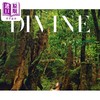 预售 【中商原版】菜菜绪写真集 DIVINE 日文原版 菜々緒写真集 商品缩略图4