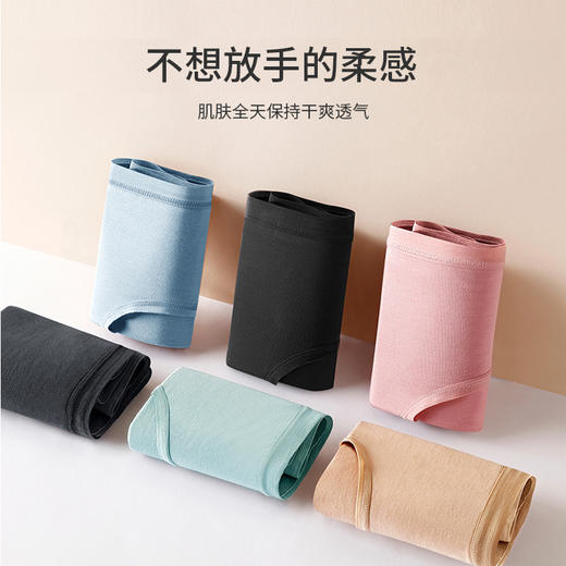 蕉内同厂莫代尔女士内裤4条 60支兰精莫代尔  经典款舒适内裤 不卡裆不夹臀  商品图3