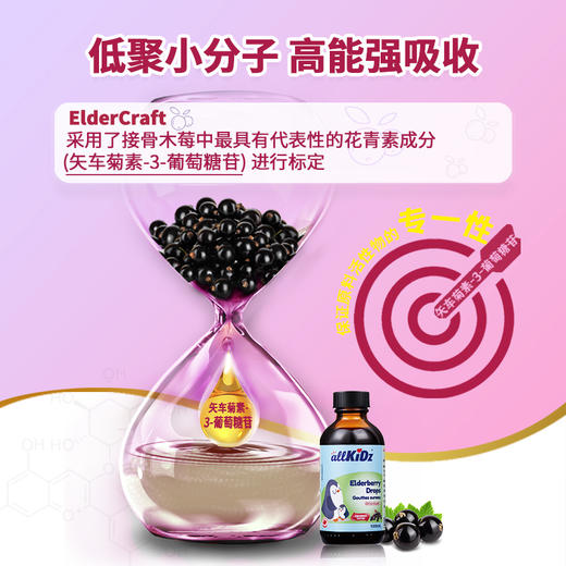 加拿大爱奇氏 接骨木莓滴液 100ml 商品图4
