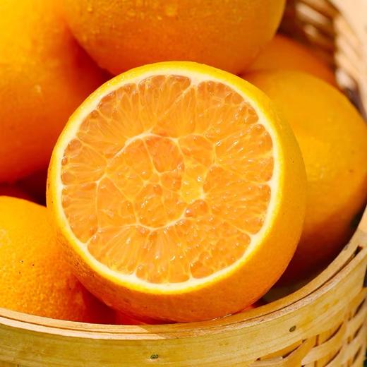 奉节脐橙 现摘现发 果味浓郁超好吃 商品图4