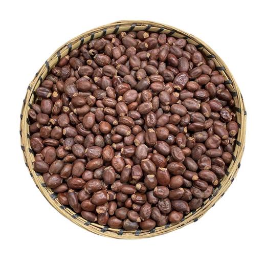 荔枝核  生荔枝核    新货荔枝核 商品图4