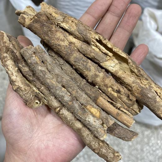 香五加皮 气味芬芳农家生晒中药材 商品图1