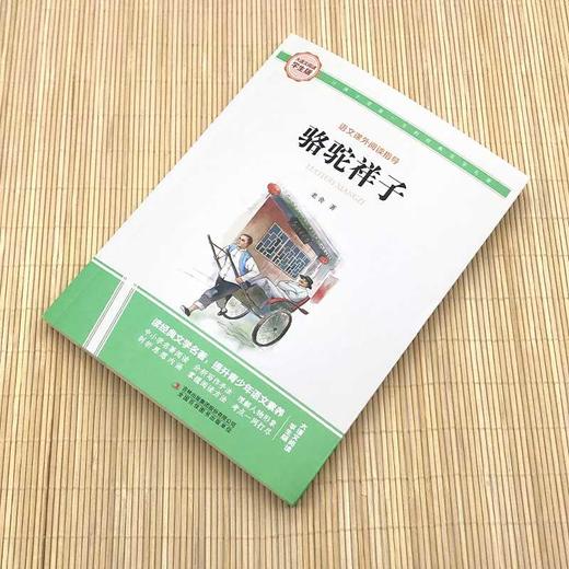 骆驼祥子 商品图2