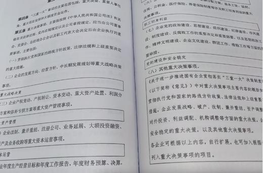 深度研究《中国特色现代公司治理实操模板》 商品图2