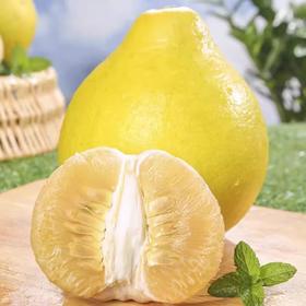 【分仓直发包邮】广西容县沙田柚4.5-5斤（2个）