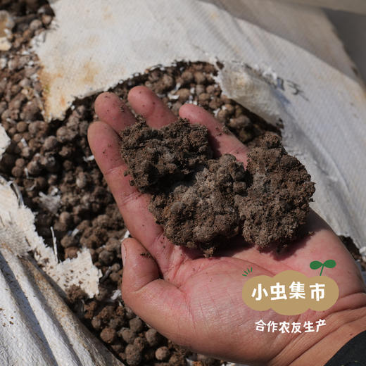 眉山生态爱媛果冻橙 5斤/8.5斤 | 合作农友生产，产自四川眉山，生产者：胡连均 *【公平贸易农人定价】 商品图12