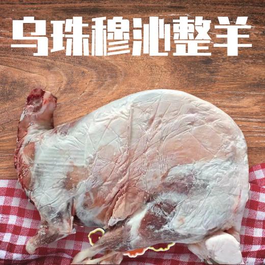 乌珠穆沁生态羊 |  草原散养 鲜嫩不膻  |  基地直发包邮* Mutton | Fair Trade 商品图2