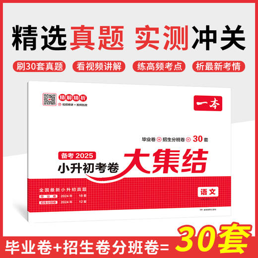 一本·小升初考卷大集结 语文(2025) 商品图0