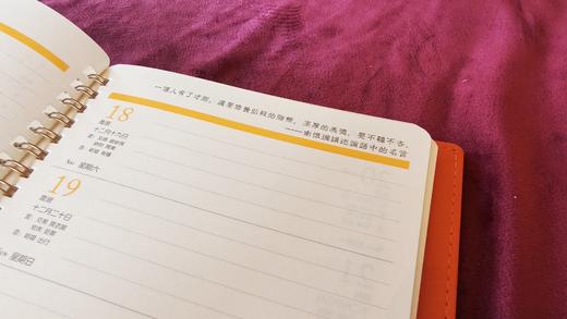 《悦心笔记2025版》太湖大学堂&老古文化出品 双肩包 书包 商品图4