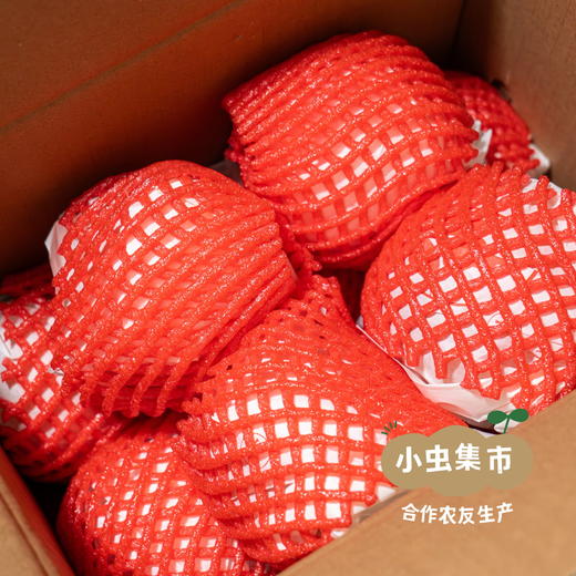 眉山生态爱媛果冻橙 5斤/8.5斤 | 合作农友生产，产自四川眉山，生产者：胡连均 *【公平贸易农人定价】 商品图10