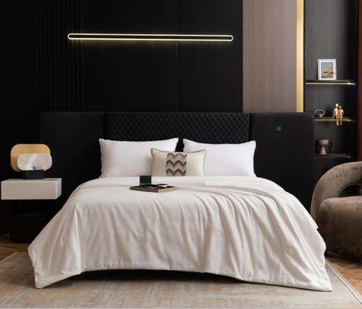 夏季雅致提花桑蚕丝被，轻盈透气，柔软舒适，让你美美哒入眠。 商品图3