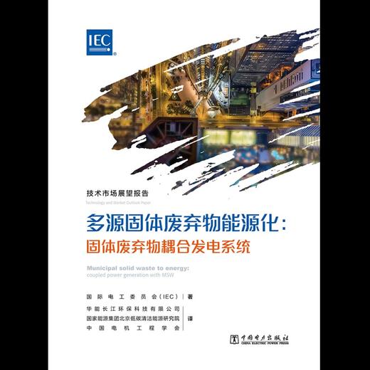 技术市场展望报告——多源固体废弃物能源化：固体废弃物耦合发电系统 商品图1