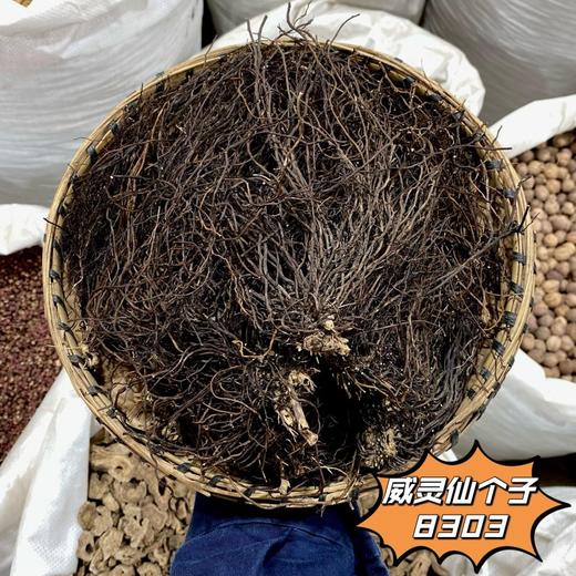 威灵仙  常用规格 北威灵仙 商品图2