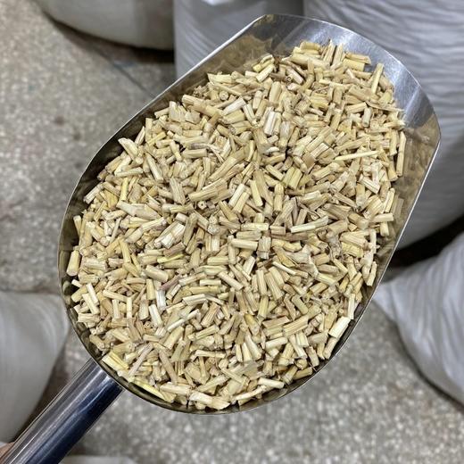 白茅根 常用规格 商品图2