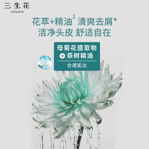 三生花  精油香氛洗沐组合  去屑洗发露+玫瑰沐浴露   SSH-0071 商品图2