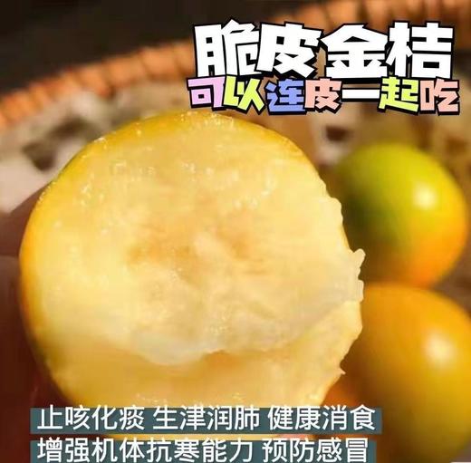 融安脆蜜金桔 约400g/盒  | 水果 商品图0