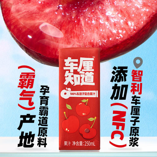  椰子知道车厘知道100%车厘子复合果汁250ml*10（礼盒装） 商品图3