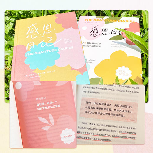 臻爱花园礼盒-用书写找到爱的内心花园 商品图5