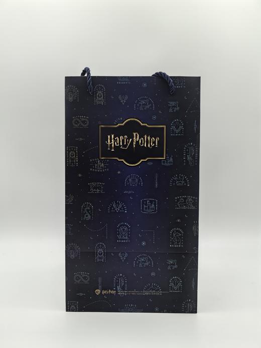 【春上新】9楼母婴生活馆 【蛇年限定】膳魔师&哈利波特联名蛇年限定保温直饮杯礼盒配礼袋500mL 吊牌价：398元 活动价：339元 商品图9