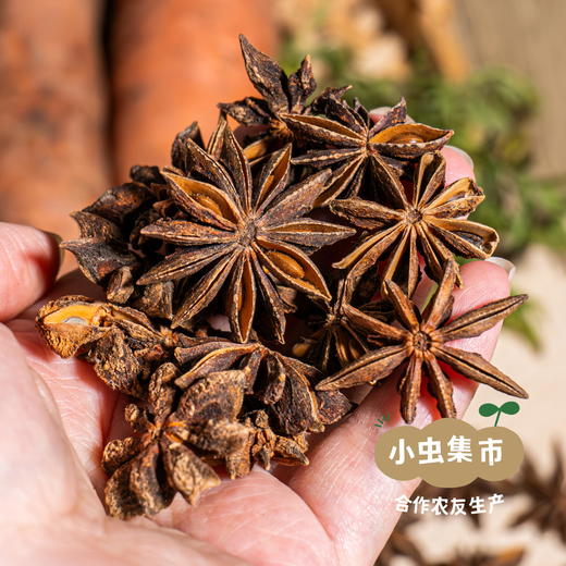 生态八角 80g/罐 | 合作农友生产，来自云南红河哈尼族彝族自治区，生产者：王佳俊 ＆【公平贸易农人定价】 商品图1