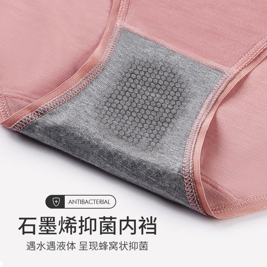 蕉内同厂莫代尔女士内裤4条 60支兰精莫代尔  经典款舒适内裤 不卡裆不夹臀  商品图4